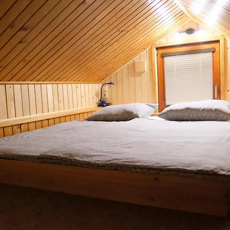 Wooden House Ažbe *