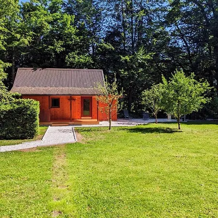 Wooden House Azbe