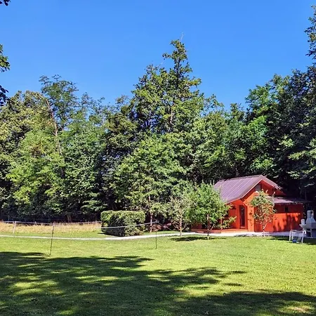 Appartamento Wooden House Azbe Bled