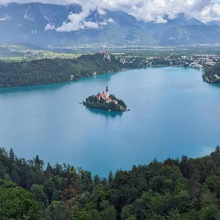 Appartement Wooden House Ažbe