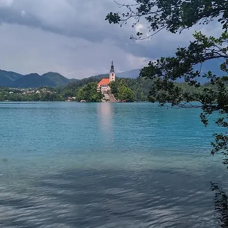 Wooden House Ažbe *