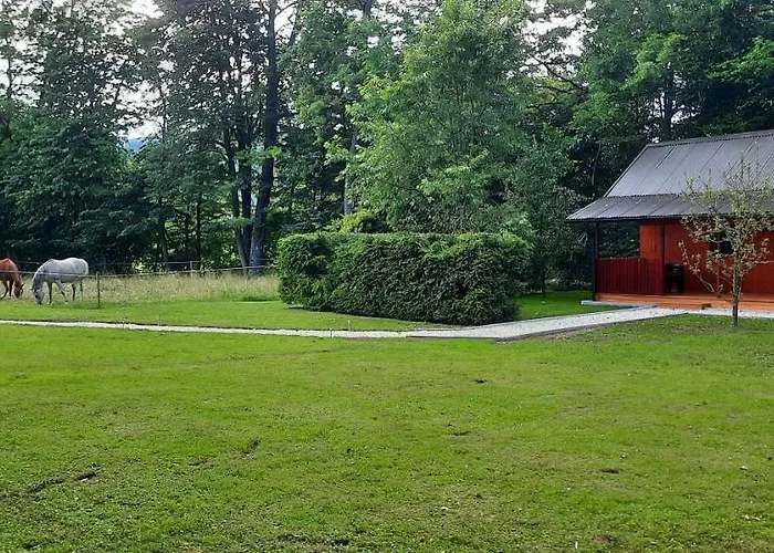 Wooden House Azbe 公寓 布莱德